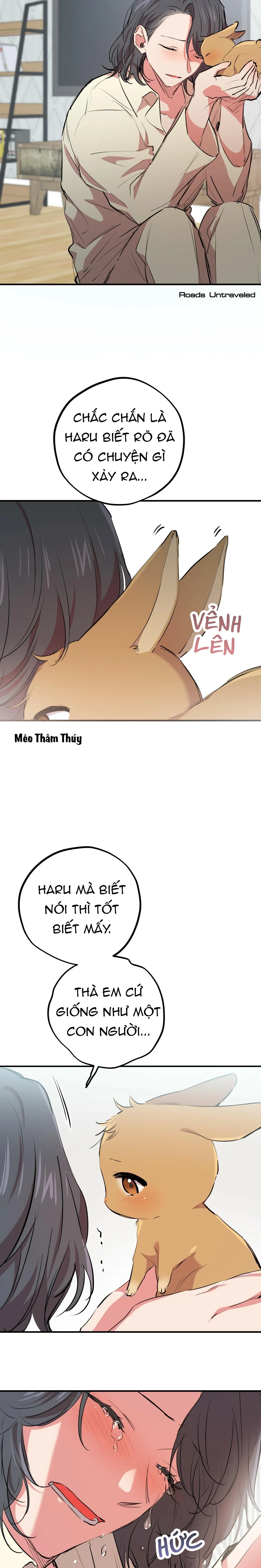 NHỮNG CHÚ THỎ CỦA HABIBI Chapter 20 Trang 26