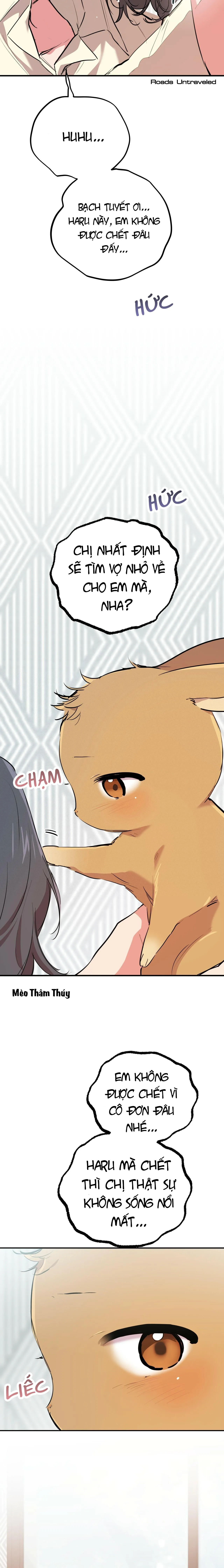 NHỮNG CHÚ THỎ CỦA HABIBI Chapter 20 Trang 27