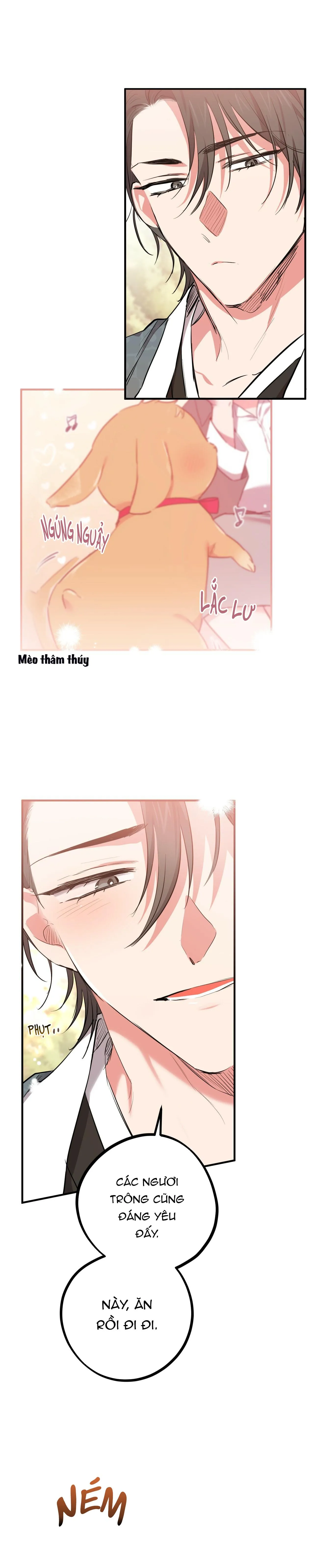 NHỮNG CHÚ THỎ CỦA HABIBI Chapter 21 Trang 3