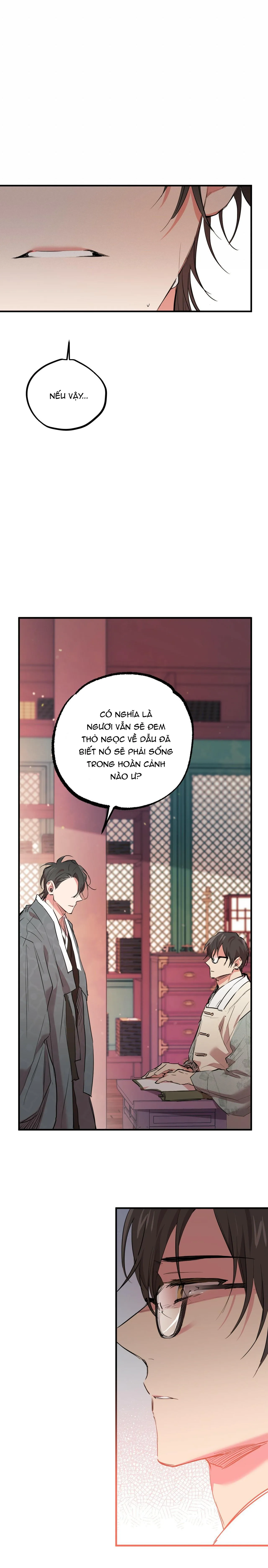 NHỮNG CHÚ THỎ CỦA HABIBI Chapter 21 Trang 18