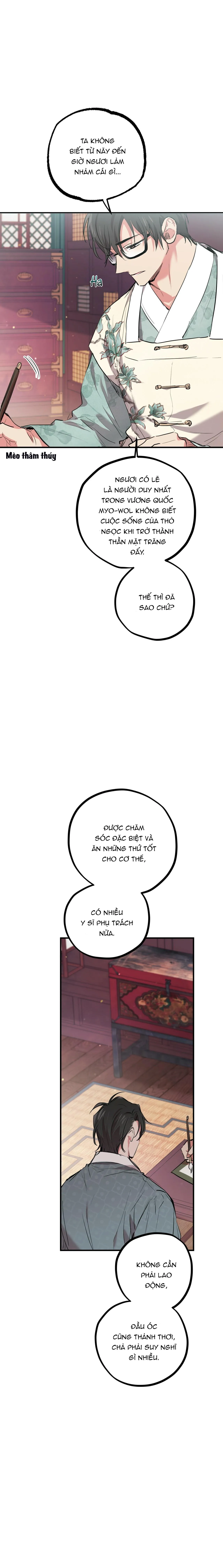 NHỮNG CHÚ THỎ CỦA HABIBI Chapter 21 Trang 19