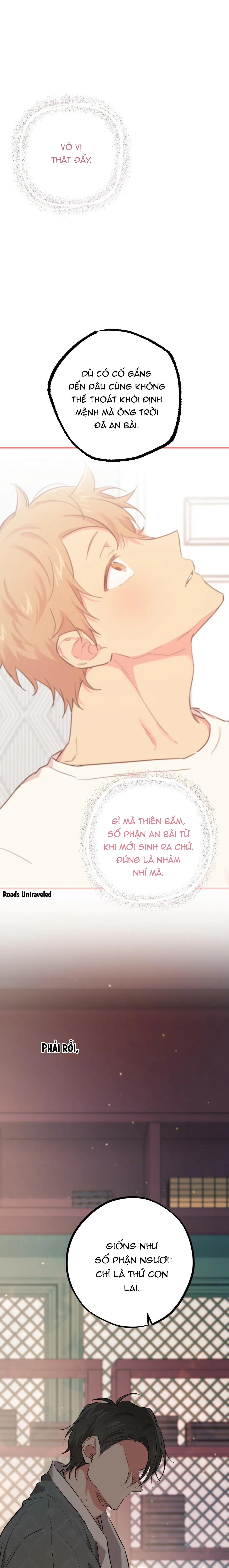 NHỮNG CHÚ THỎ CỦA HABIBI Chapter 21 Trang 22