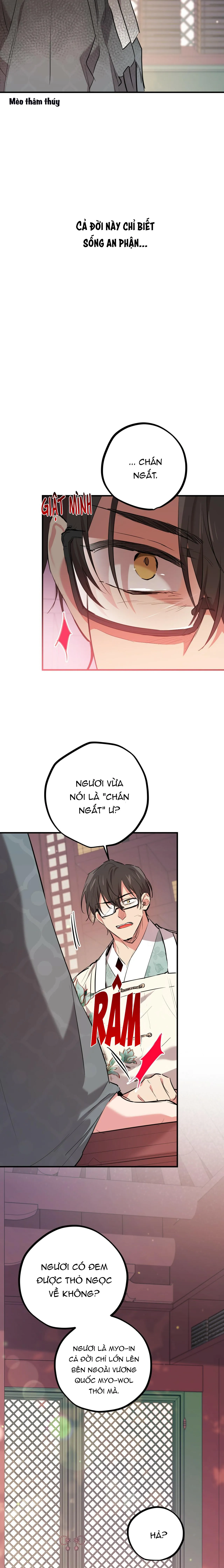 NHỮNG CHÚ THỎ CỦA HABIBI Chapter 21 Trang 23