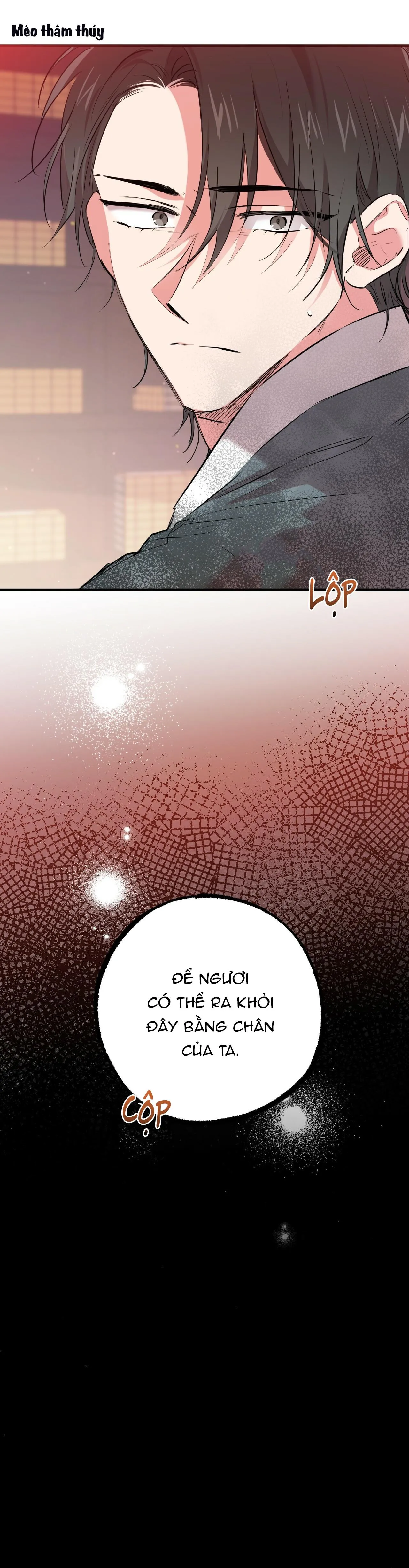 NHỮNG CHÚ THỎ CỦA HABIBI Chapter 21 Trang 31