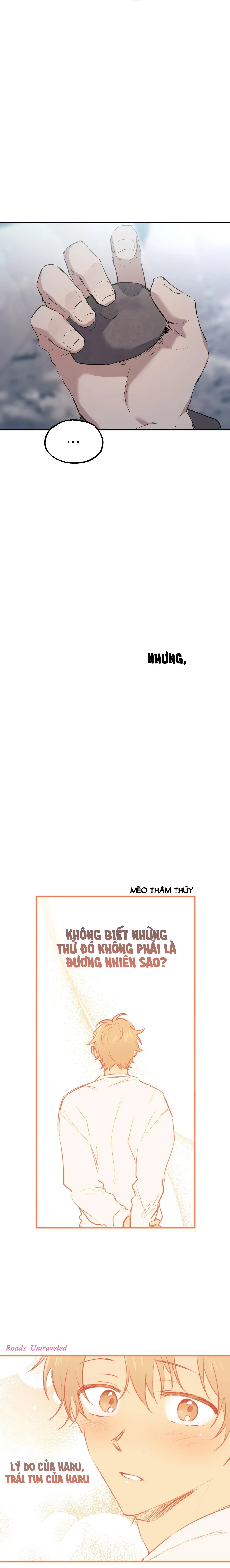 NHỮNG CHÚ THỎ CỦA HABIBI Chapter 22 Trang 20