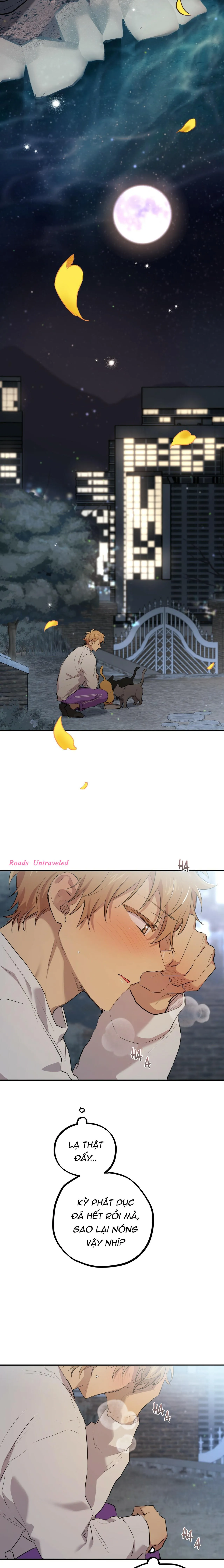 NHỮNG CHÚ THỎ CỦA HABIBI Chapter 22 Trang 23