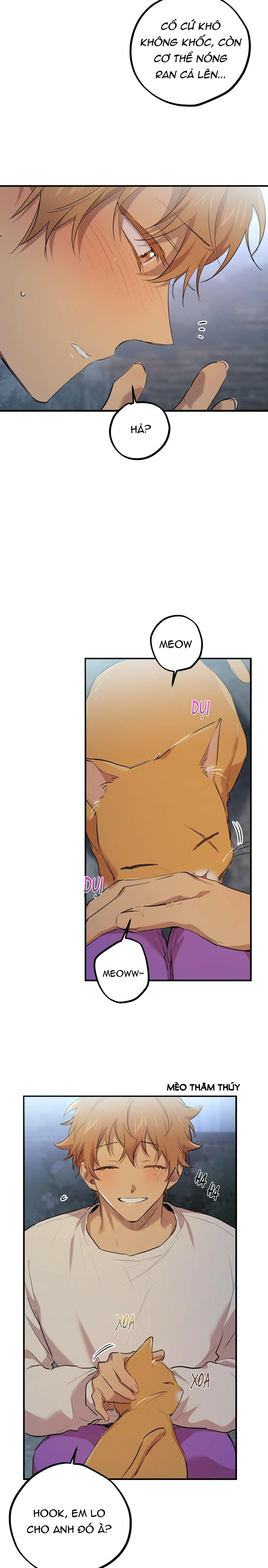 NHỮNG CHÚ THỎ CỦA HABIBI Chapter 22 Trang 24