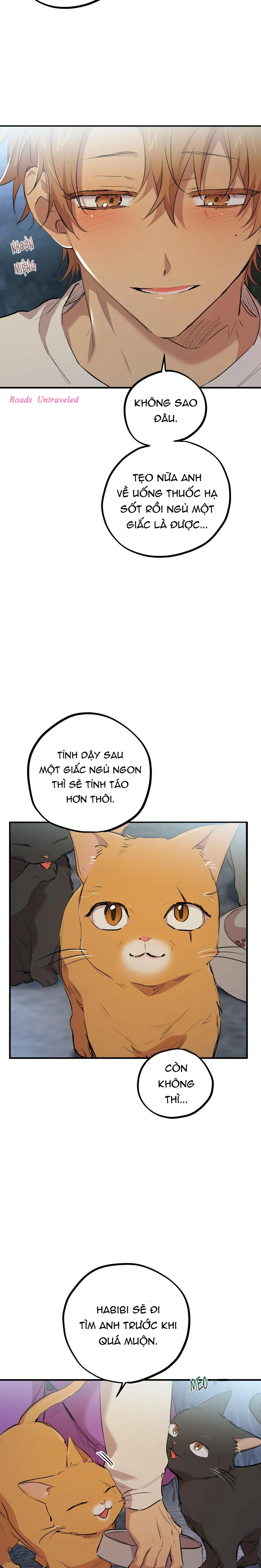 NHỮNG CHÚ THỎ CỦA HABIBI Chapter 22 Trang 25