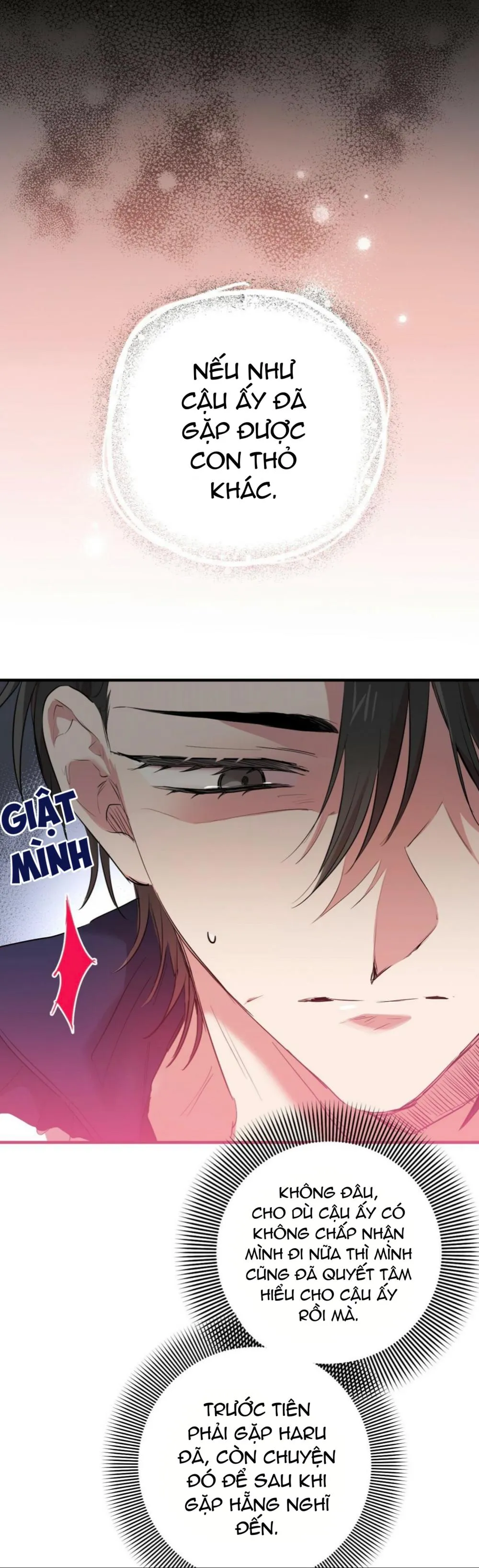 NHỮNG CHÚ THỎ CỦA HABIBI Chapter 23 Trang 38