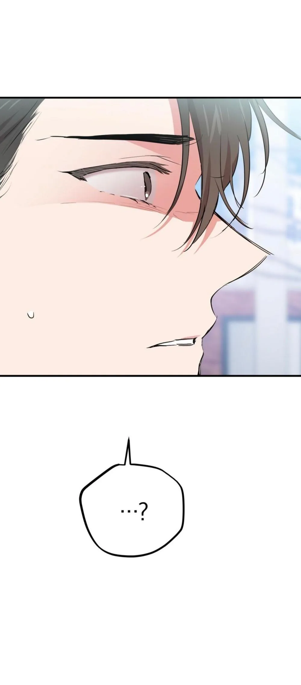 NHỮNG CHÚ THỎ CỦA HABIBI Chapter 23 Trang 41