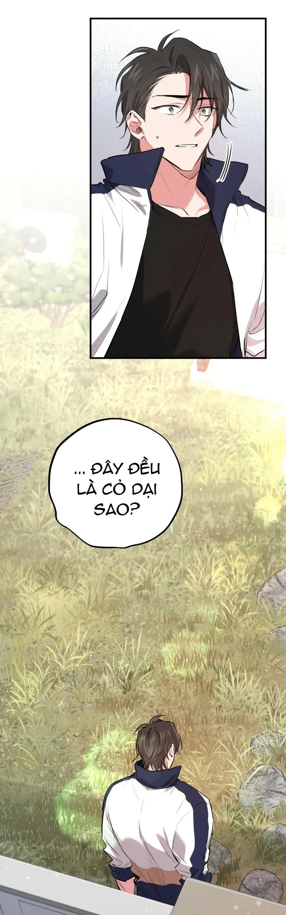 NHỮNG CHÚ THỎ CỦA HABIBI Chapter 23 Trang 43