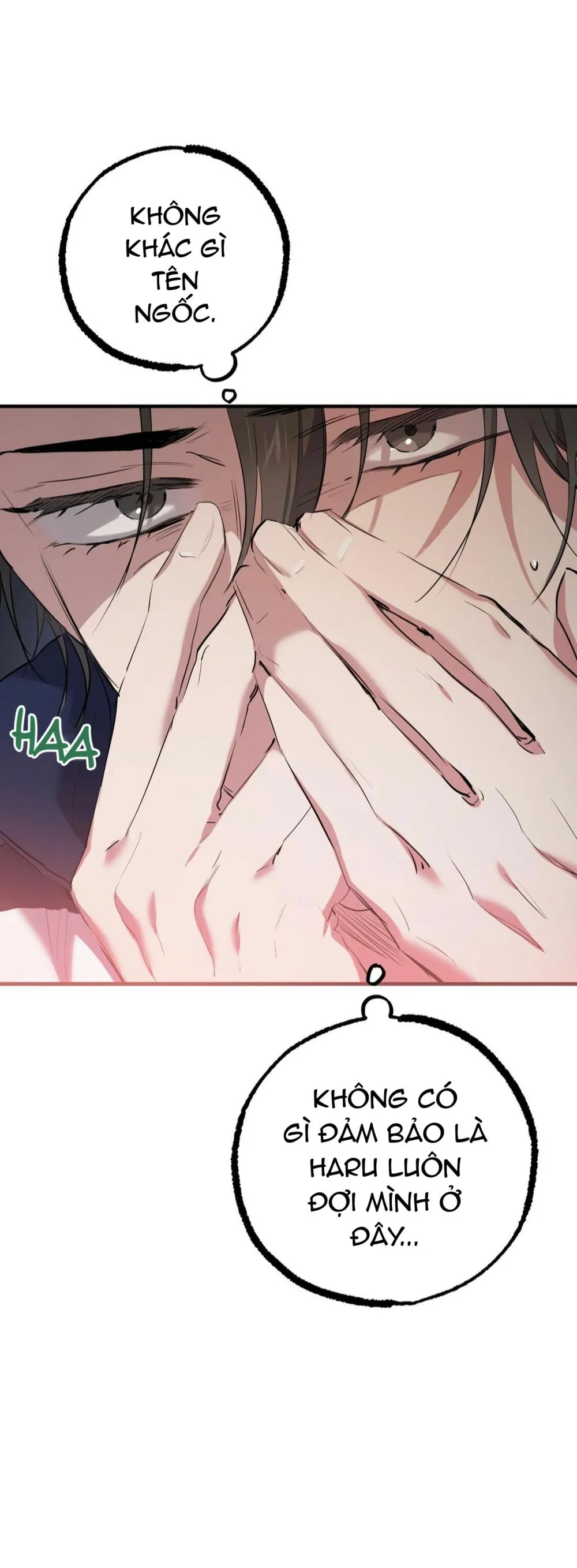 NHỮNG CHÚ THỎ CỦA HABIBI Chapter 23 Trang 50