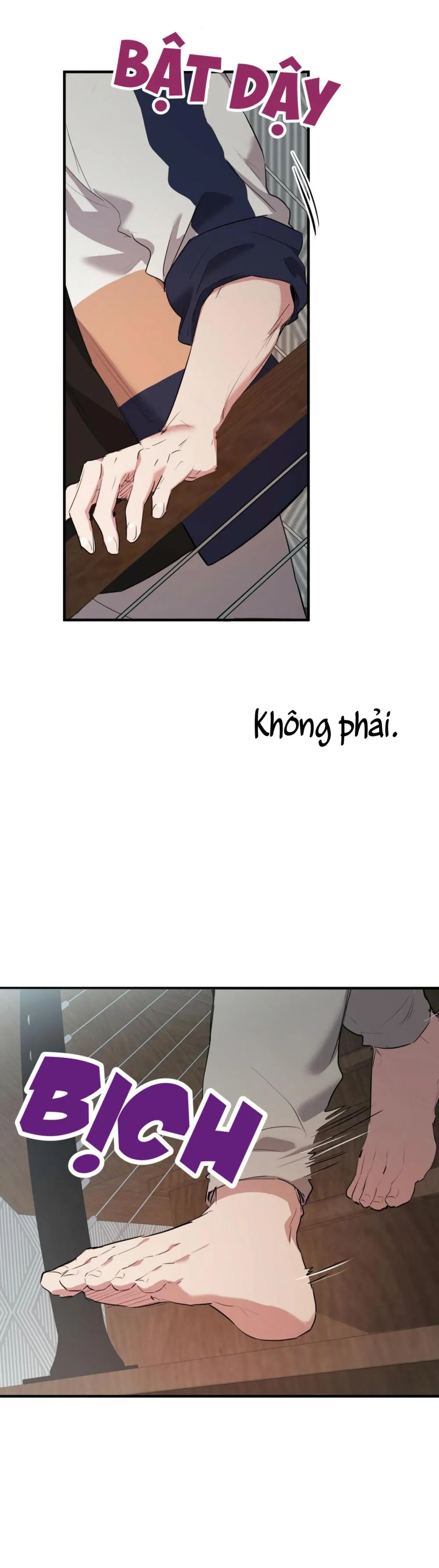 NHỮNG CHÚ THỎ CỦA HABIBI Chapter 23 Trang 53