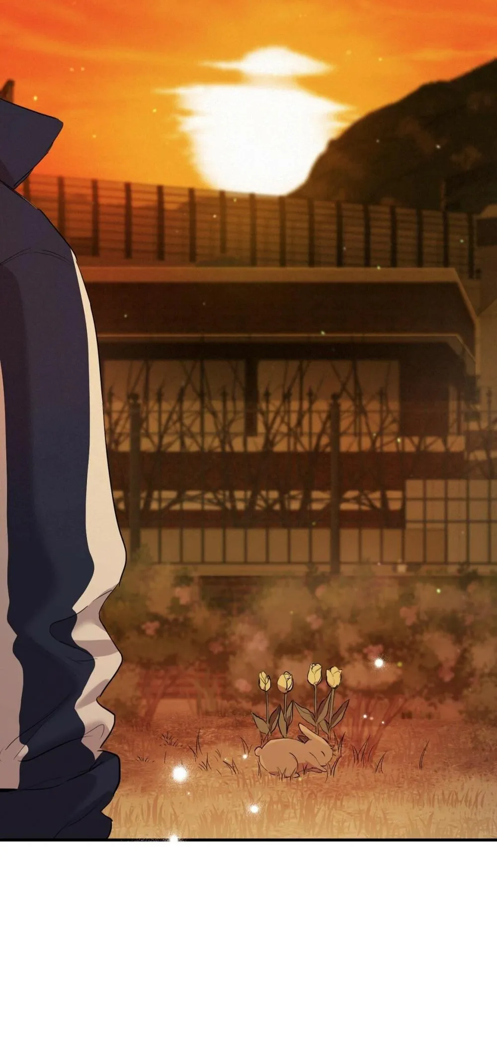 NHỮNG CHÚ THỎ CỦA HABIBI Chapter 23 Trang 57