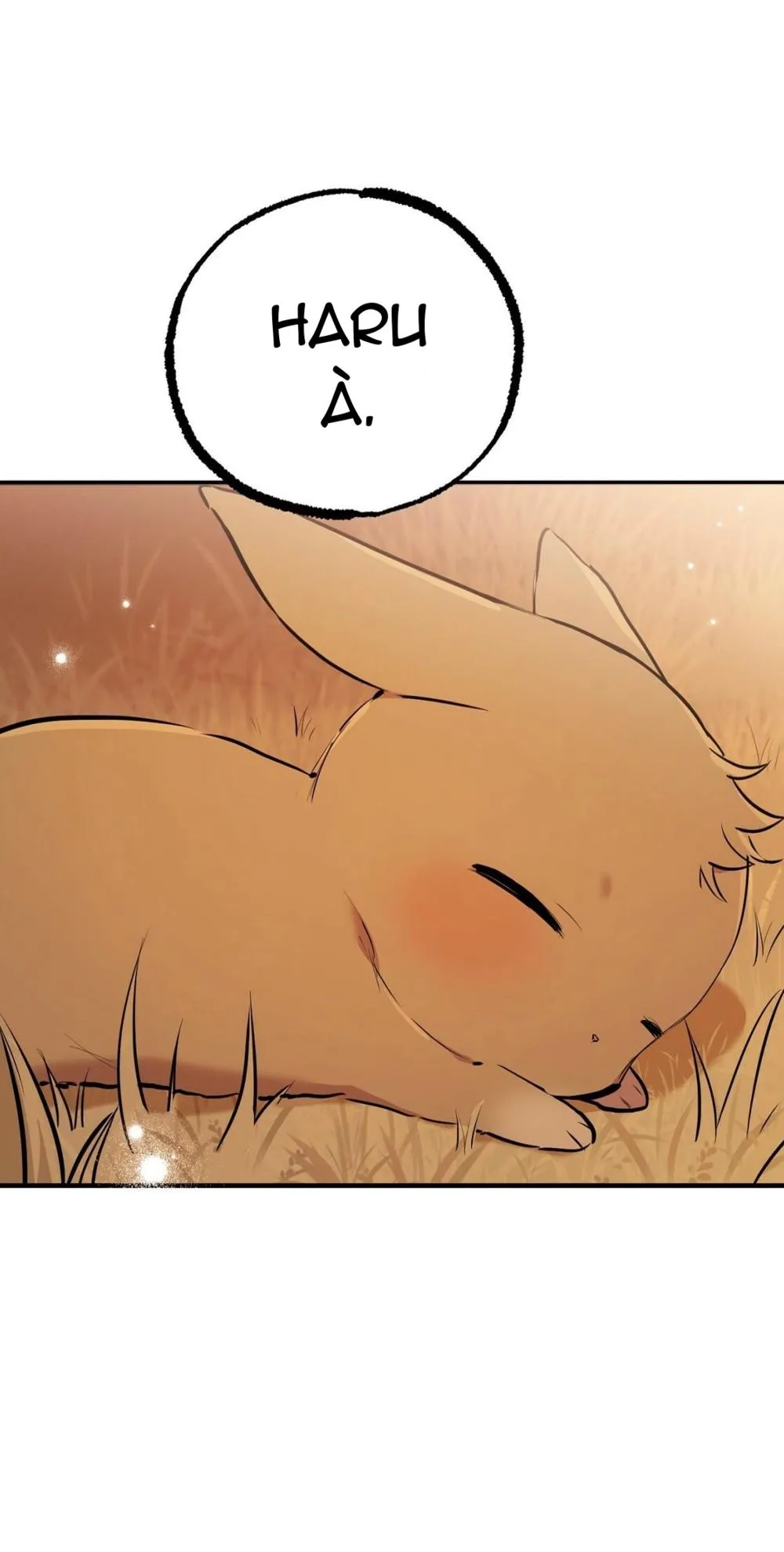 NHỮNG CHÚ THỎ CỦA HABIBI Chapter 23 Trang 59