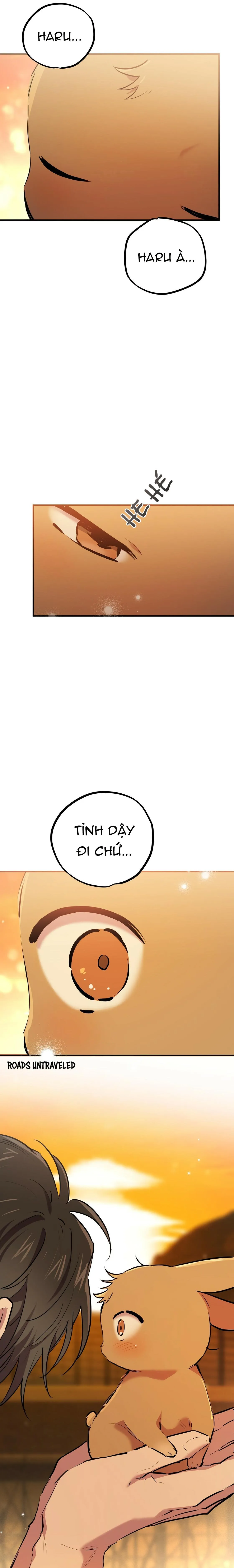 NHỮNG CHÚ THỎ CỦA HABIBI Chapter 24 Trang 3