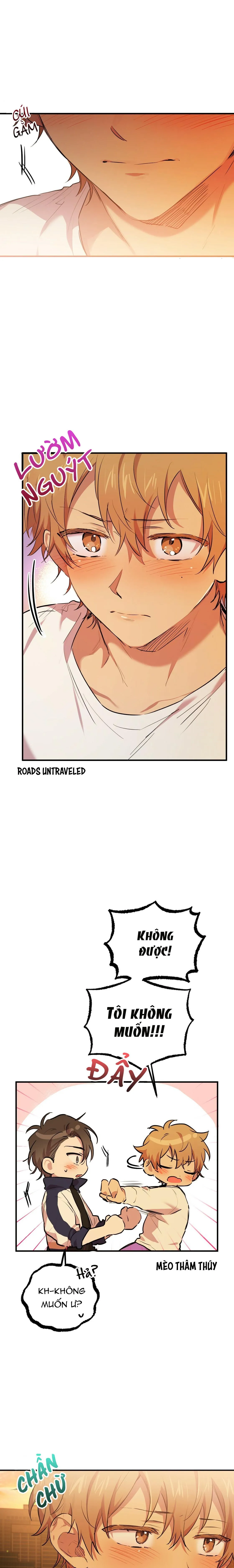 NHỮNG CHÚ THỎ CỦA HABIBI Chapter 24 Trang 13