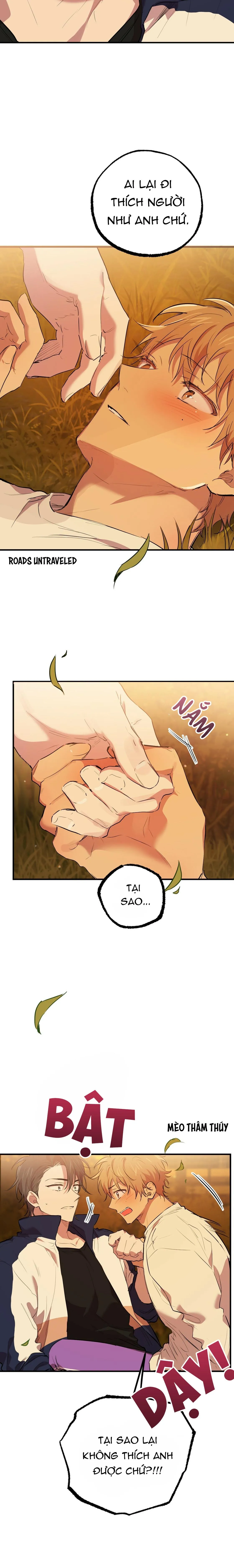 NHỮNG CHÚ THỎ CỦA HABIBI Chapter 24 Trang 22