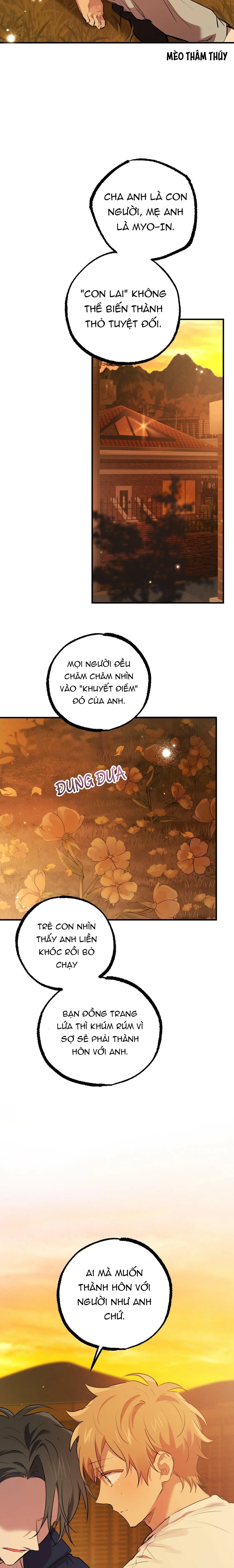 NHỮNG CHÚ THỎ CỦA HABIBI Chapter 24 Trang 24