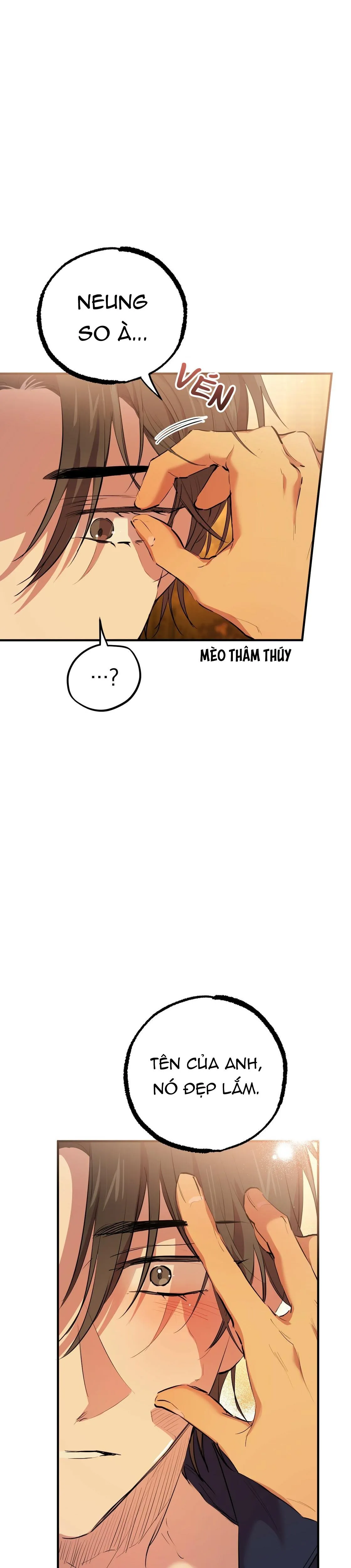 NHỮNG CHÚ THỎ CỦA HABIBI Chapter 24 Trang 26