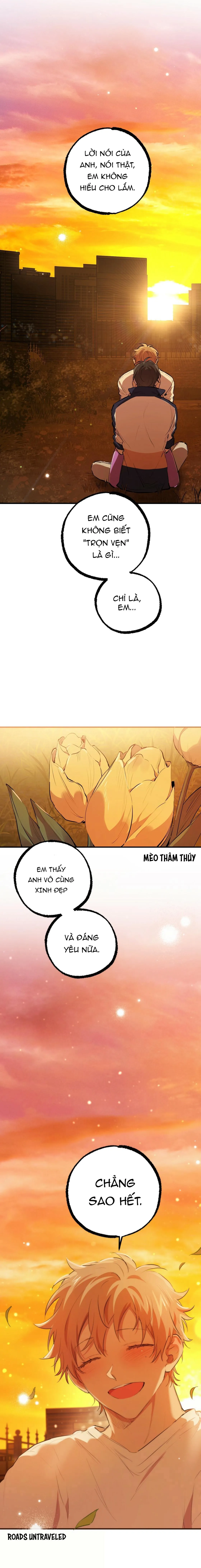 NHỮNG CHÚ THỎ CỦA HABIBI Chapter 24 Trang 28