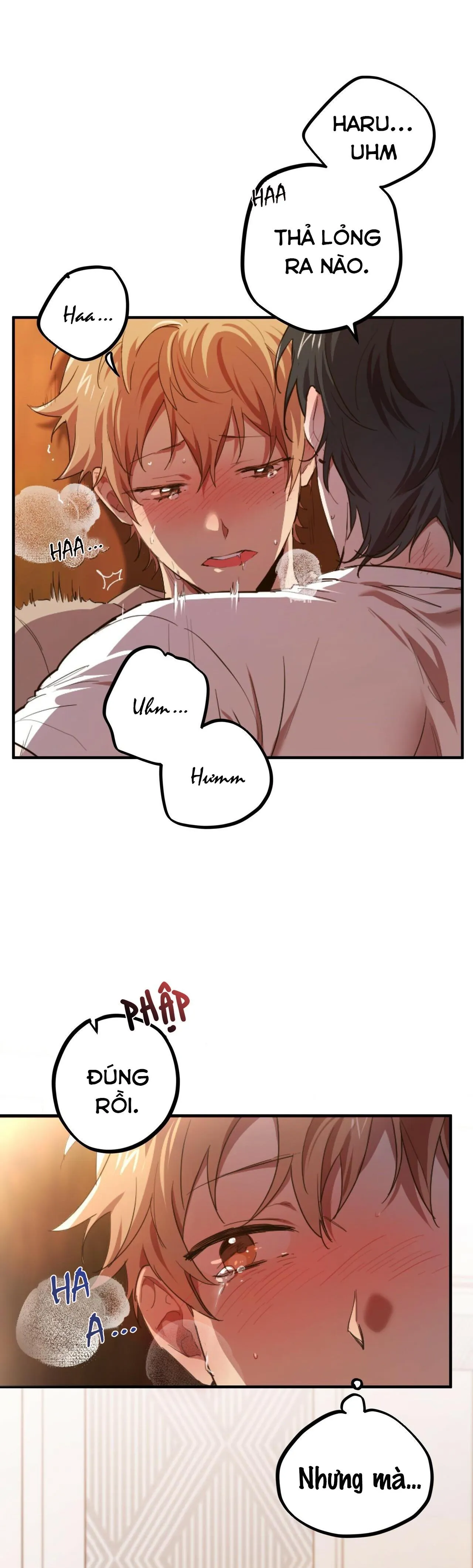 NHỮNG CHÚ THỎ CỦA HABIBI Chapter 1 Trang 12