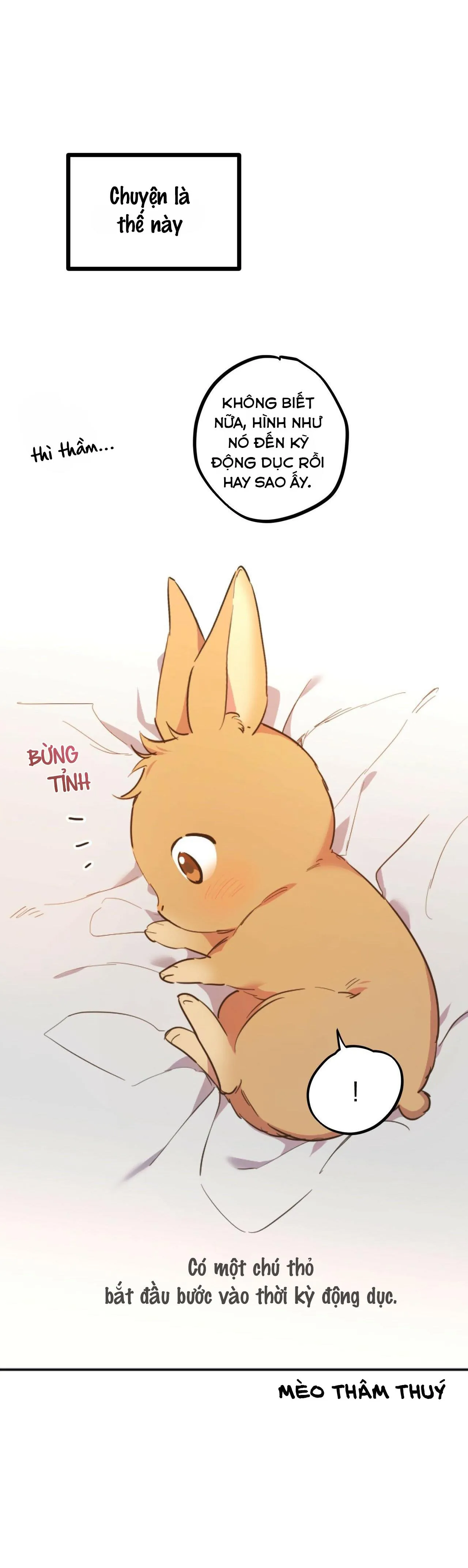 NHỮNG CHÚ THỎ CỦA HABIBI Chapter 1 Trang 19