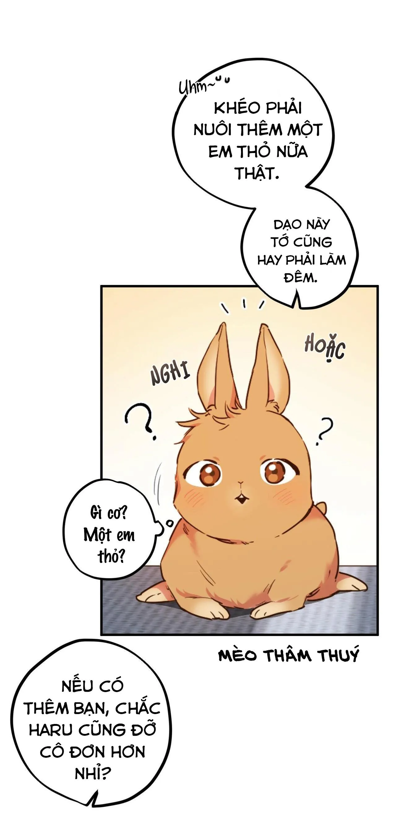 NHỮNG CHÚ THỎ CỦA HABIBI Chapter 1 Trang 28