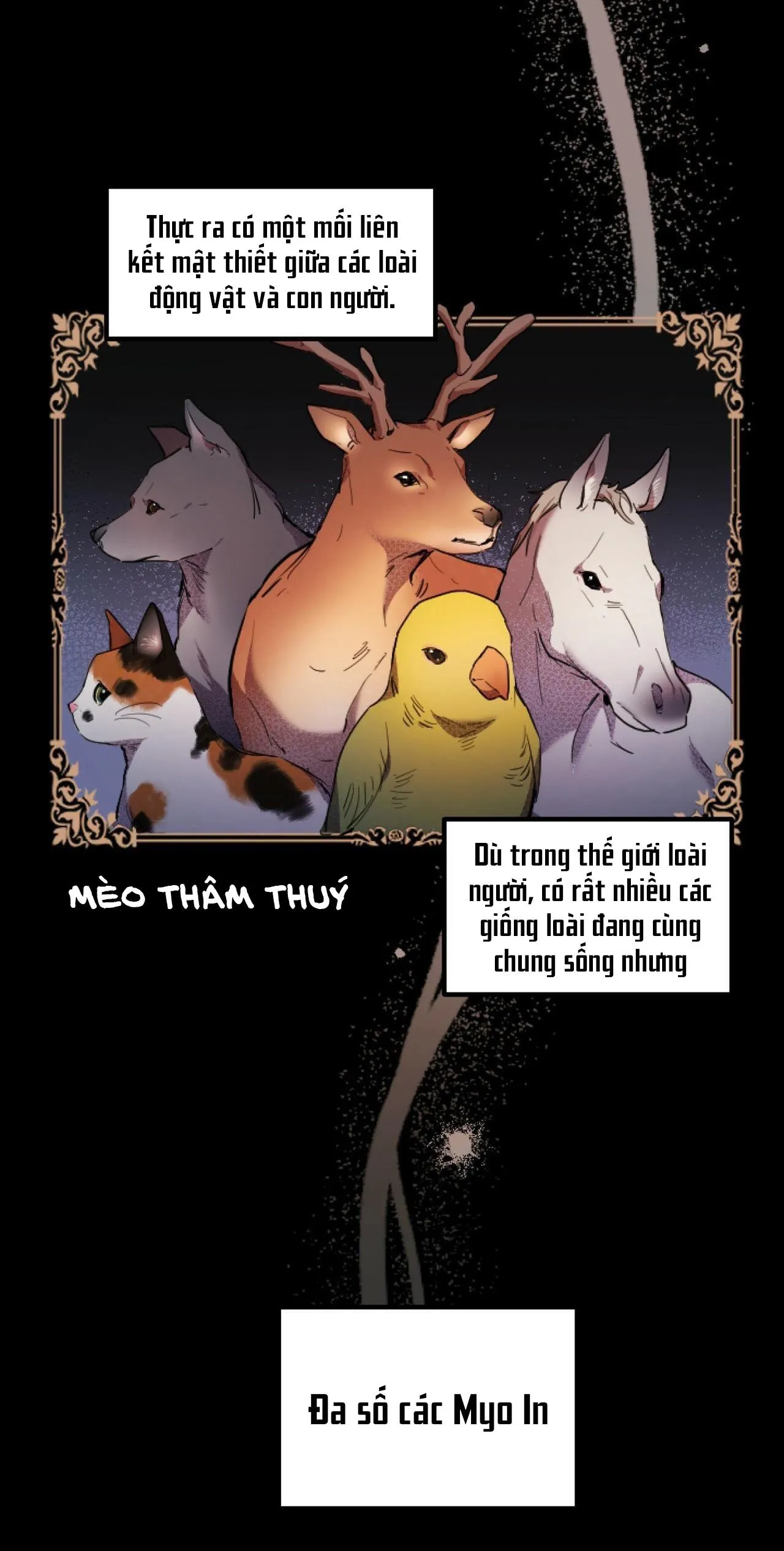 NHỮNG CHÚ THỎ CỦA HABIBI Chapter 1 Trang 37