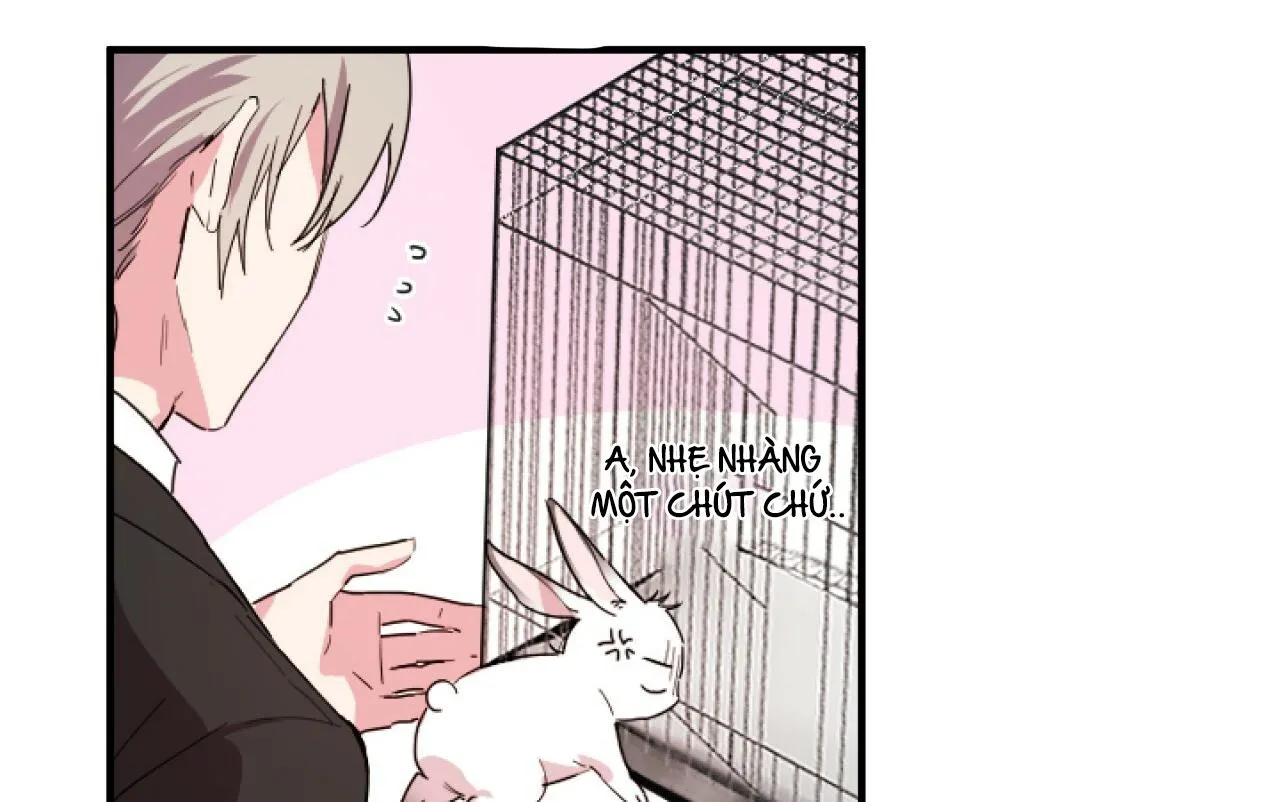 NHỮNG CHÚ THỎ CỦA HAPYPY Chapter 2 Trang 68