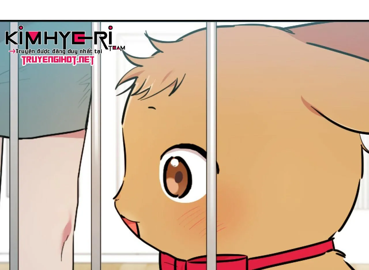 NHỮNG CHÚ THỎ CỦA HAPYPY Chapter 2 Trang 82