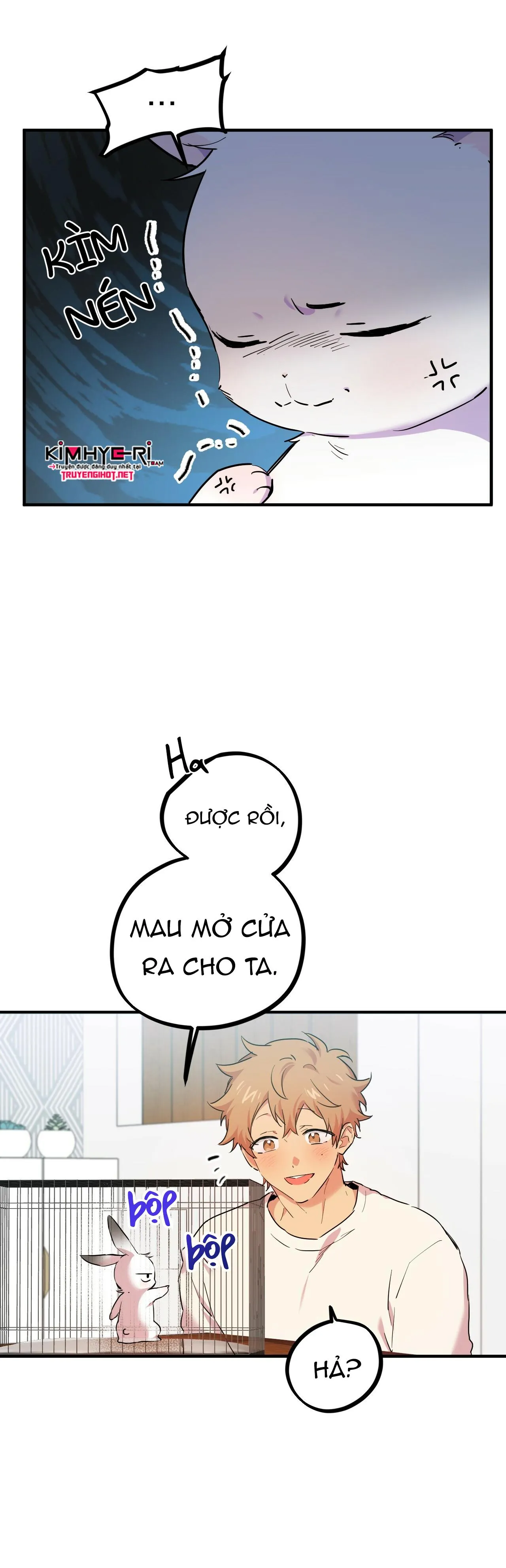 NHỮNG CHÚ THỎ CỦA HAPYPY Chapter 3 Trang 5