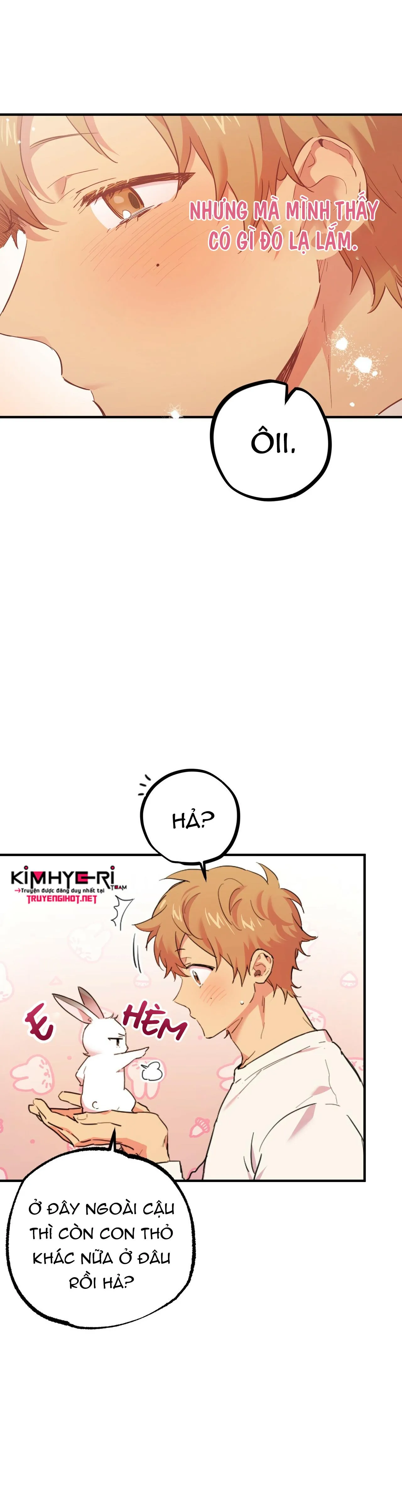 NHỮNG CHÚ THỎ CỦA HAPYPY Chapter 3 Trang 9