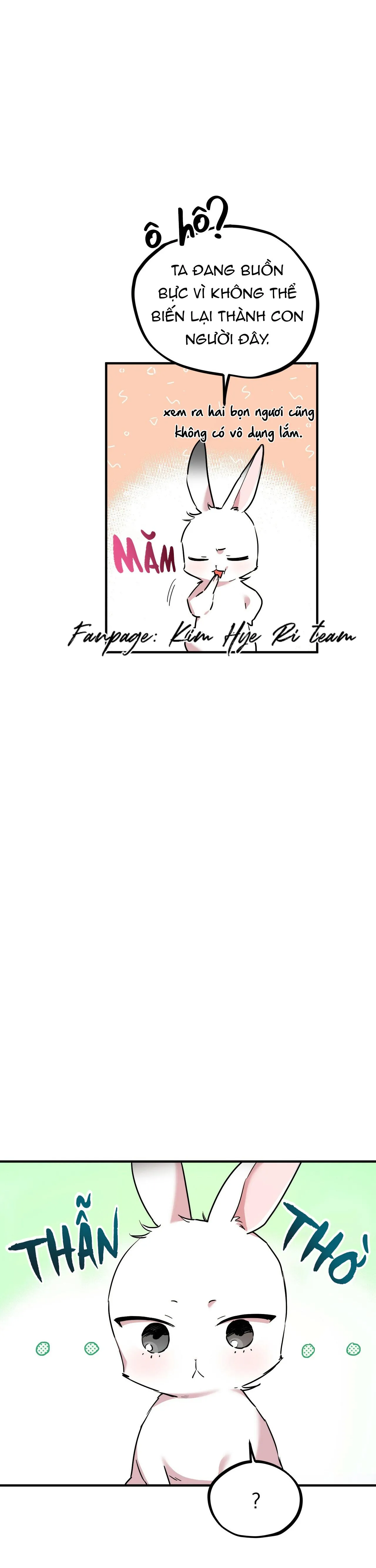 NHỮNG CHÚ THỎ CỦA HAPYPY Chapter 3 Trang 46