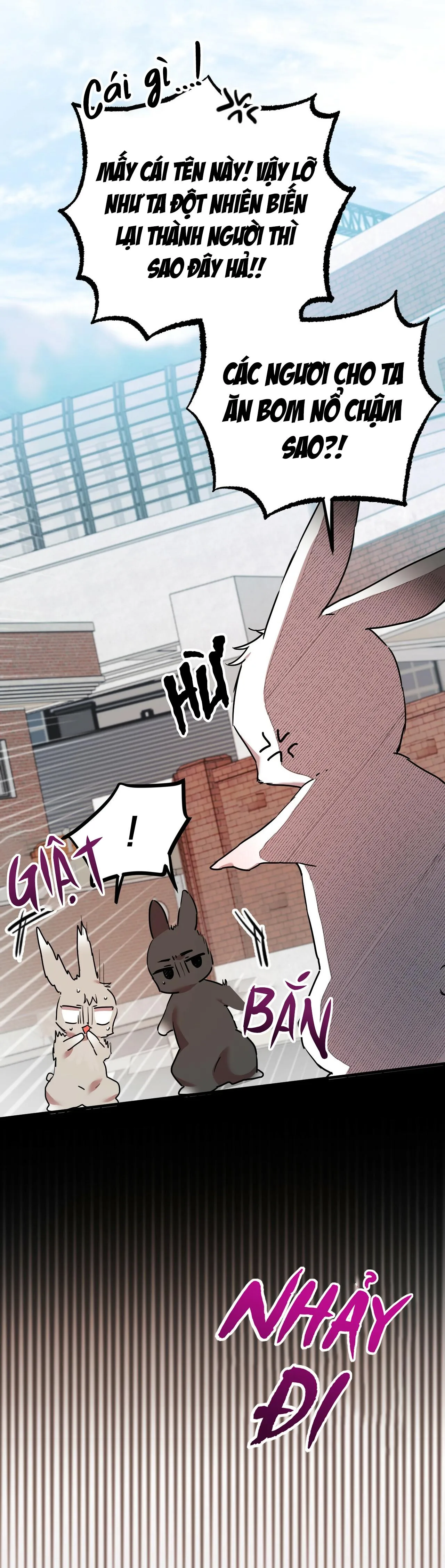 NHỮNG CHÚ THỎ CỦA HAPYPY Chapter 3 Trang 48