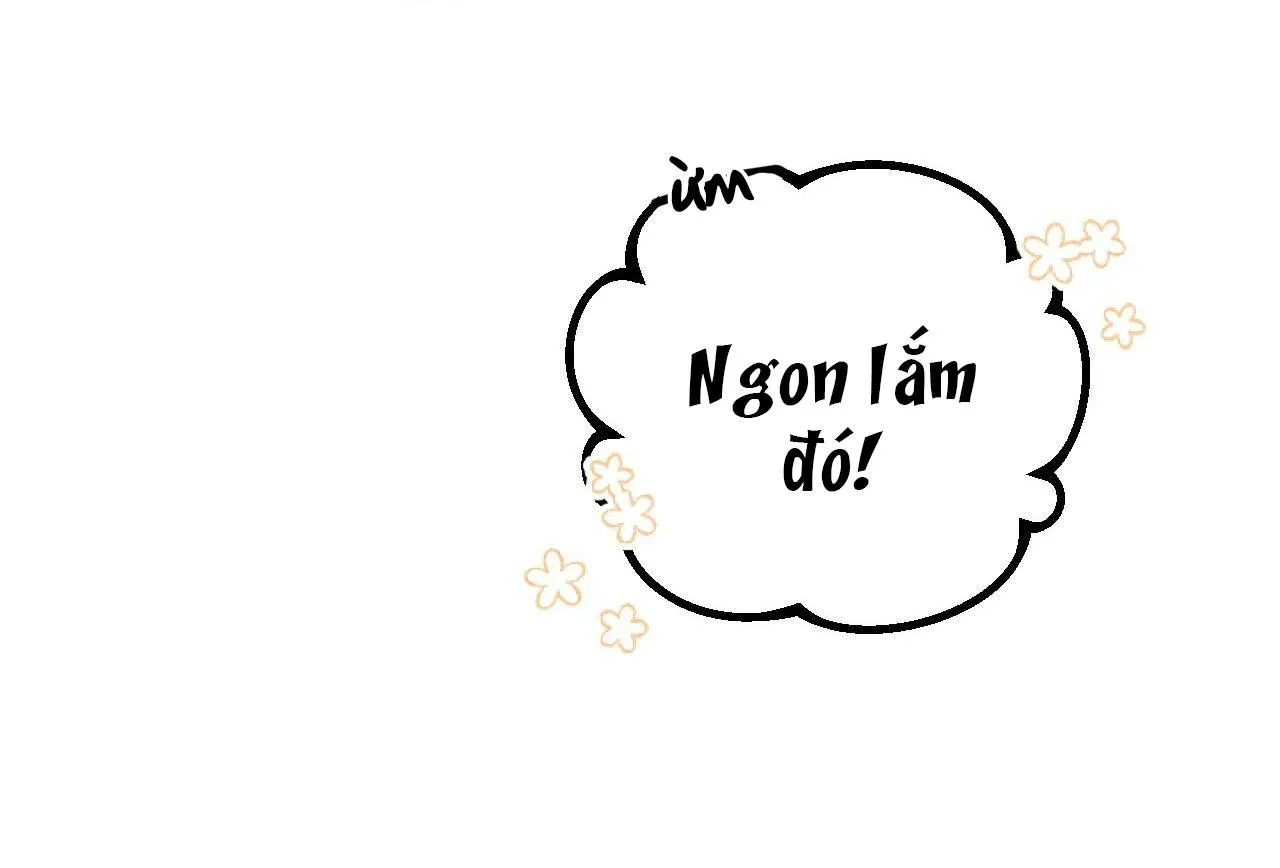 NHỮNG CHÚ THỎ CỦA HAPYPY Chapter 4 Trang 51