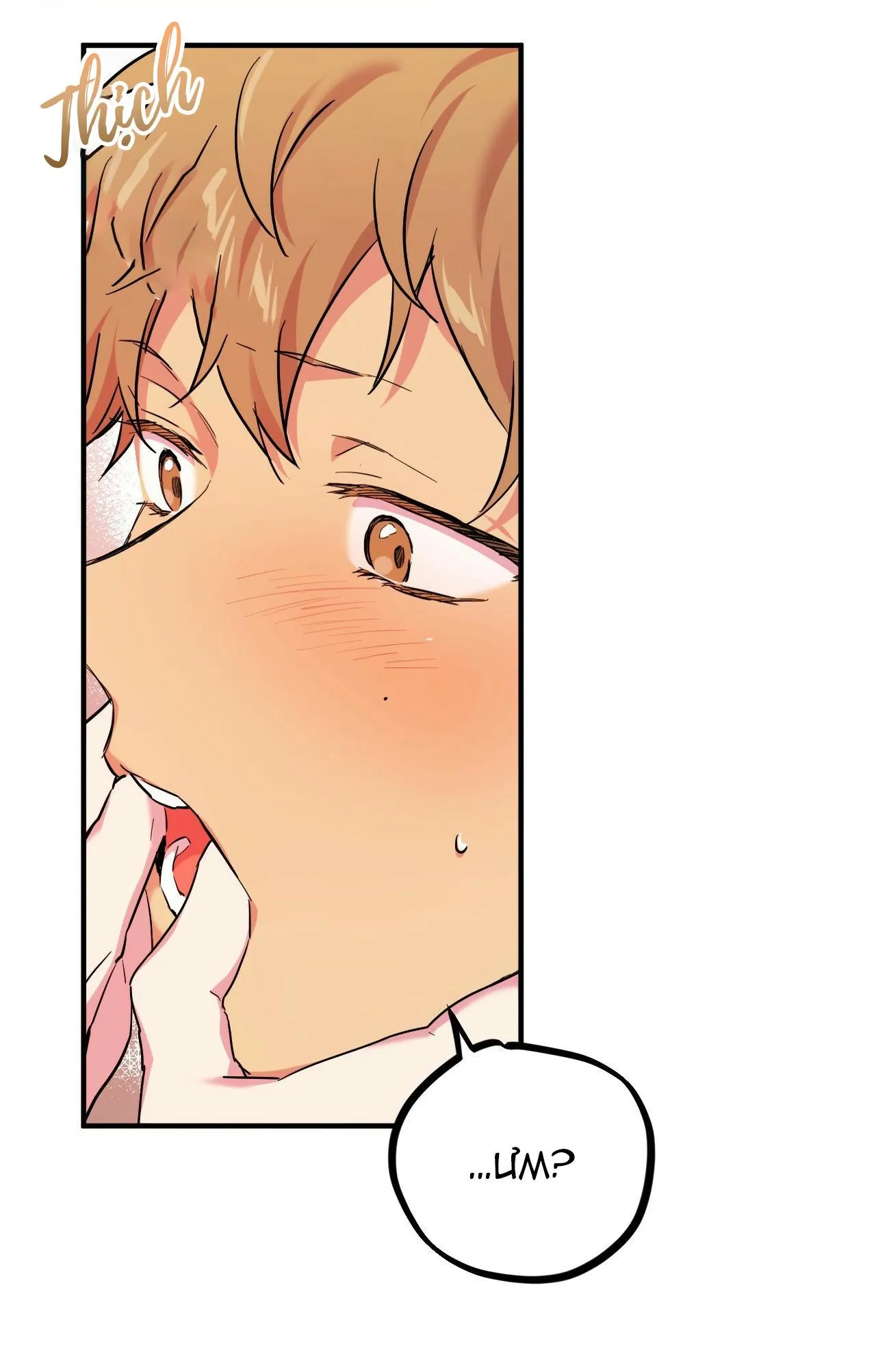 NHỮNG CHÚ THỎ CỦA HAPYPY Chapter 4 Trang 80