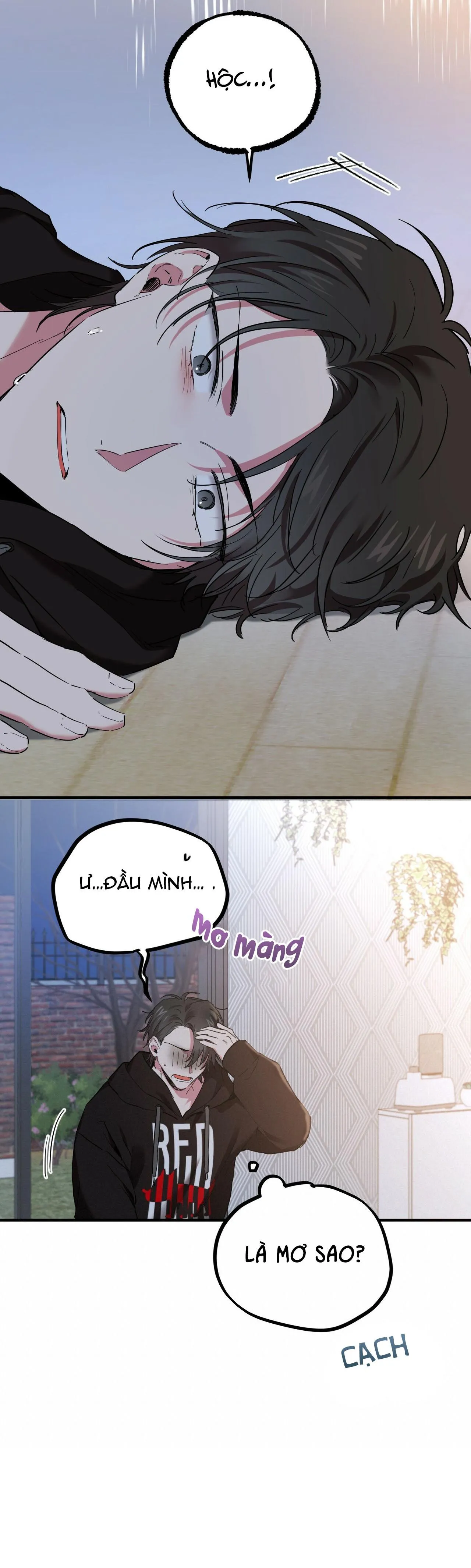 NHỮNG CHÚ THỎ CỦA HAPYPY Chapter 6 Trang 13