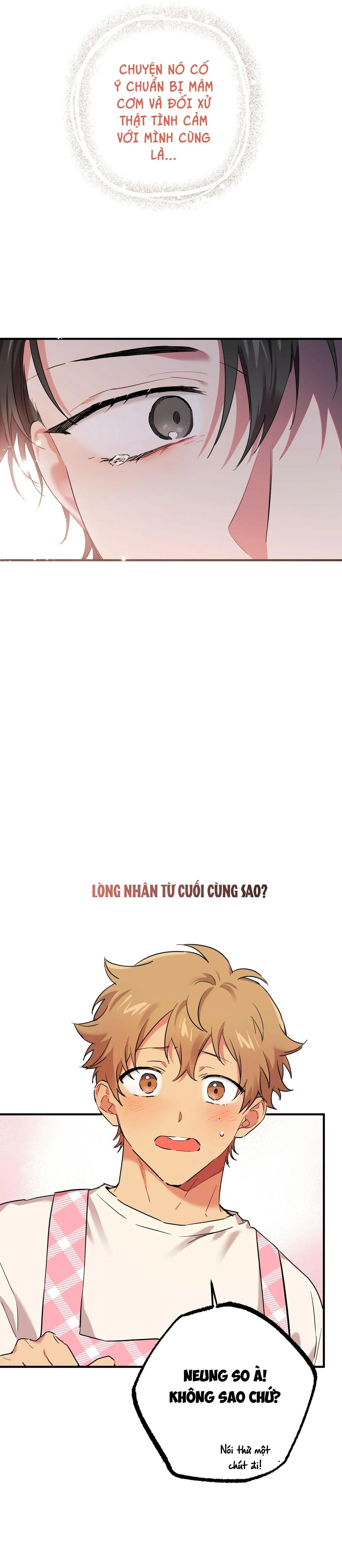 NHỮNG CHÚ THỎ CỦA HAPYPY Chapter 6 Trang 29