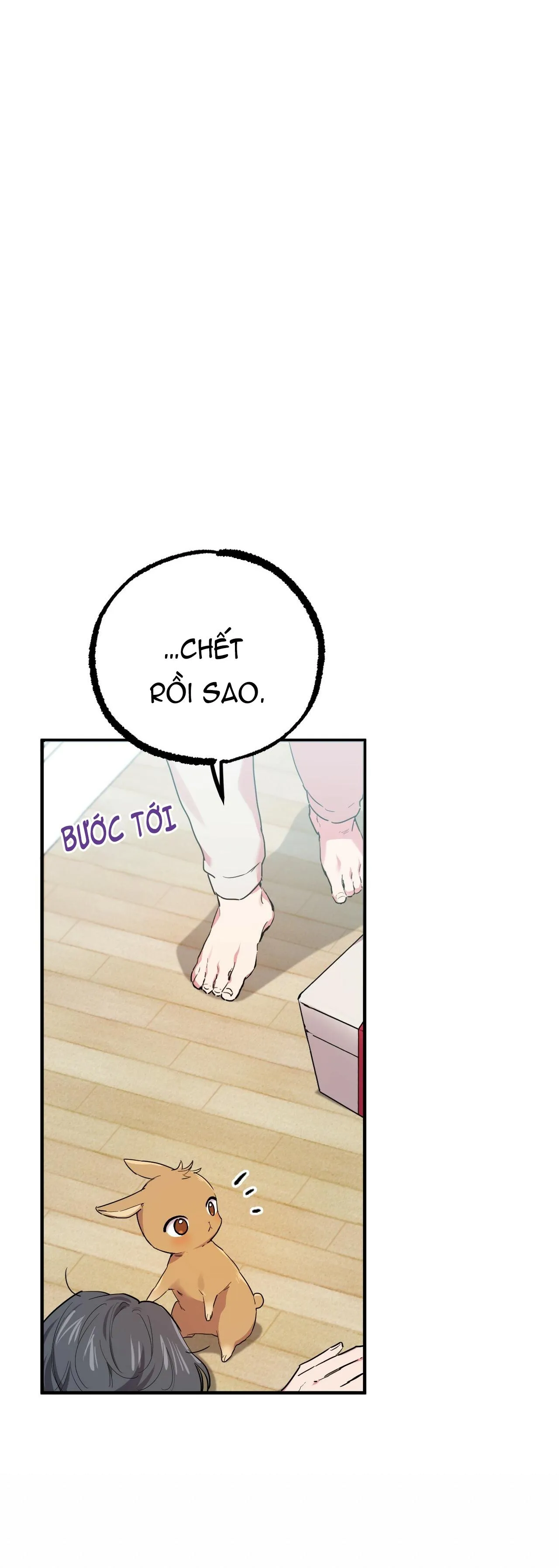 NHỮNG CHÚ THỎ CỦA HAPYPY Chapter 7 Trang 12