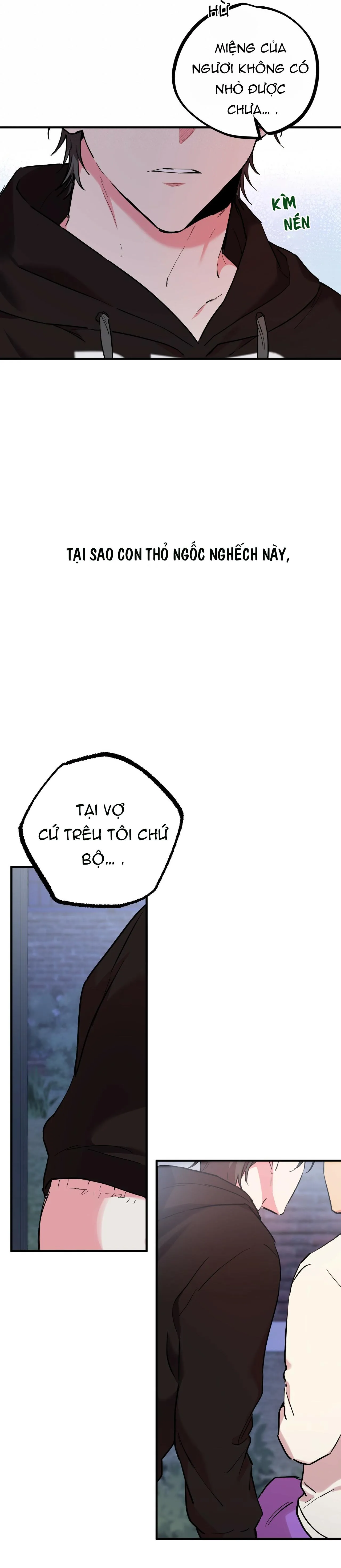 NHỮNG CHÚ THỎ CỦA HAPYPY Chapter 7 Trang 41