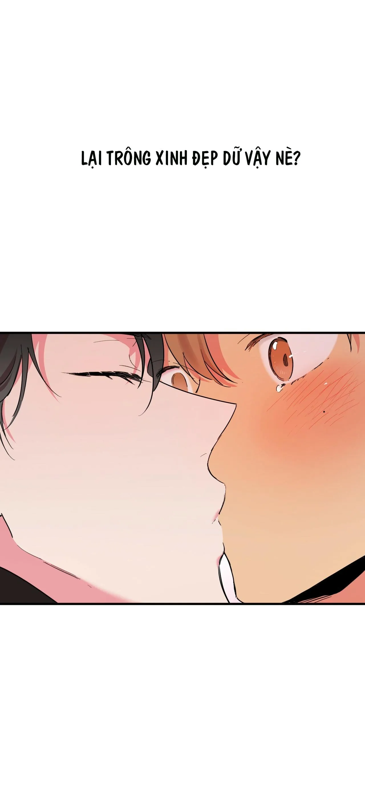 NHỮNG CHÚ THỎ CỦA HAPYPY Chapter 7 Trang 42