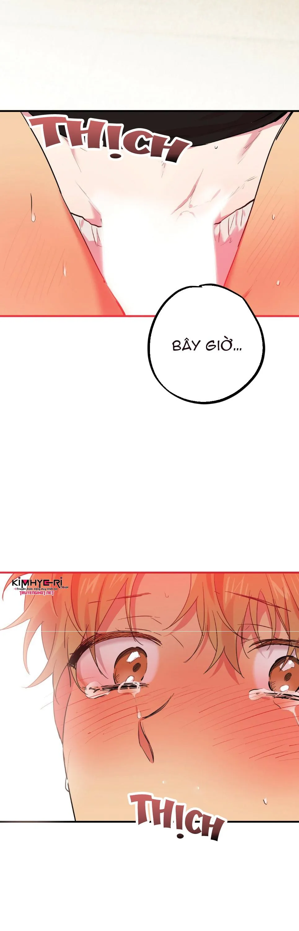 NHỮNG CHÚ THỎ CỦA HAPYPY Chapter 9 Trang 13