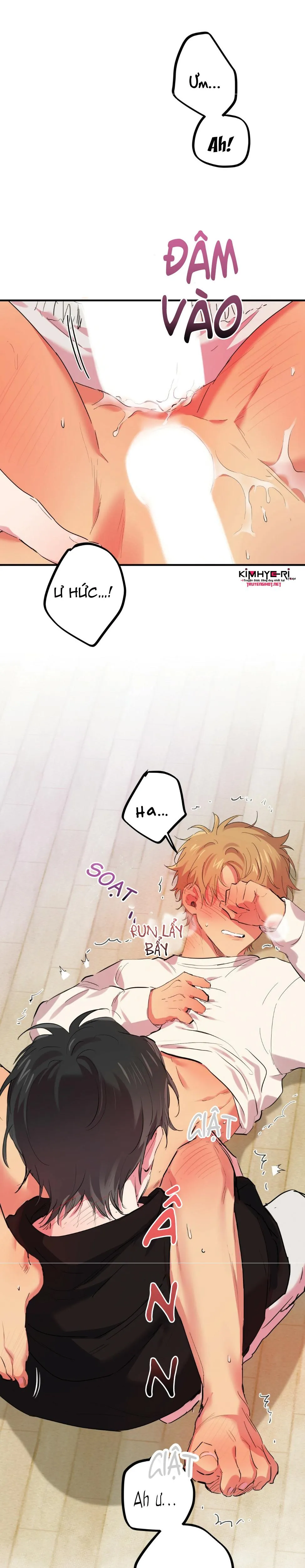 NHỮNG CHÚ THỎ CỦA HAPYPY Chapter 9 Trang 15