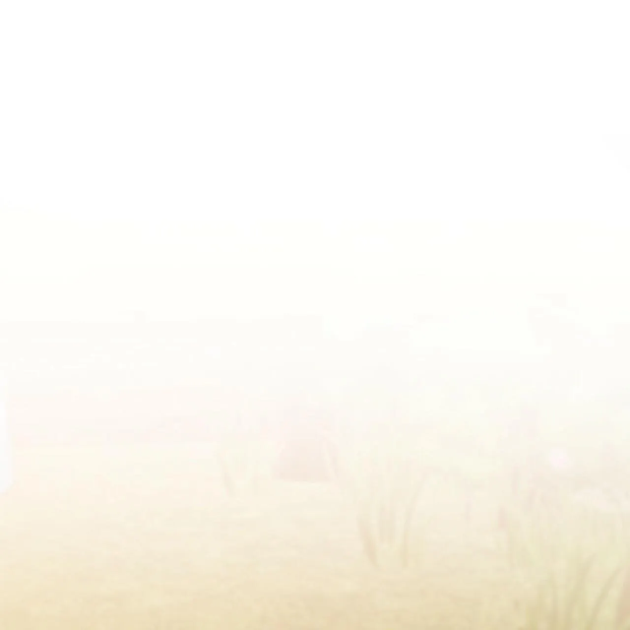 NHỮNG CHÚ THỎ CỦA HAPYPY Chapter 10 Trang 101