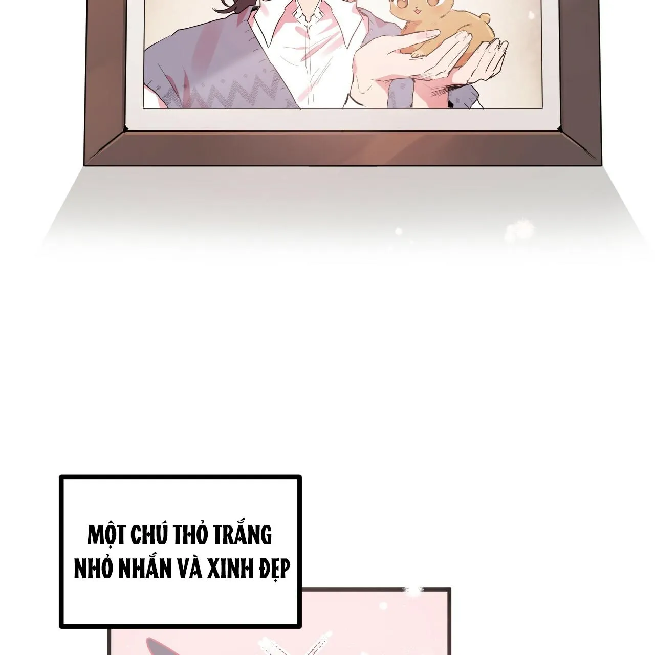 NHỮNG CHÚ THỎ CỦA HAPYPY Chapter 11 Trang 3