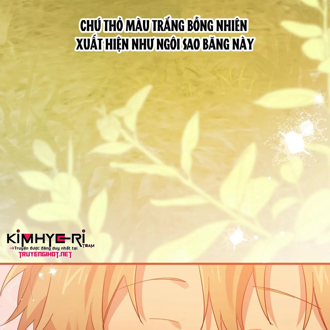 NHỮNG CHÚ THỎ CỦA HAPYPY Chapter 11 Trang 31