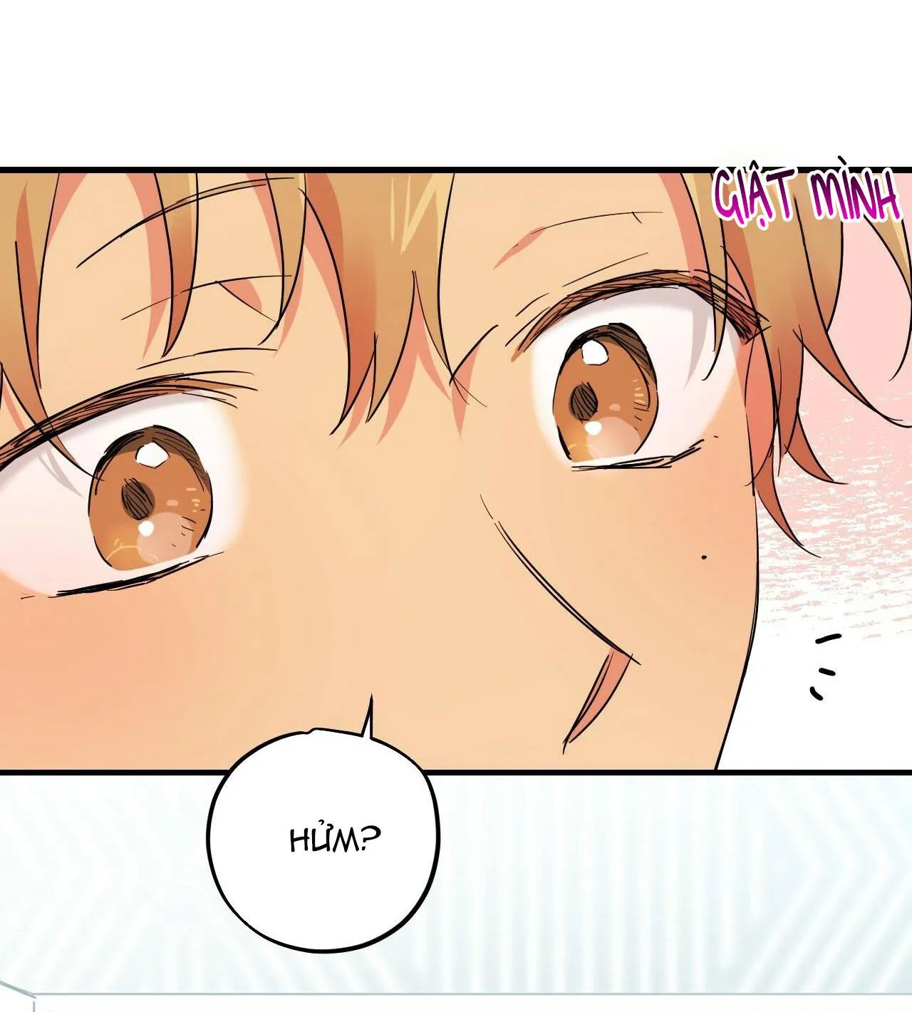 NHỮNG CHÚ THỎ CỦA HAPYPY Chapter 12 Trang 5