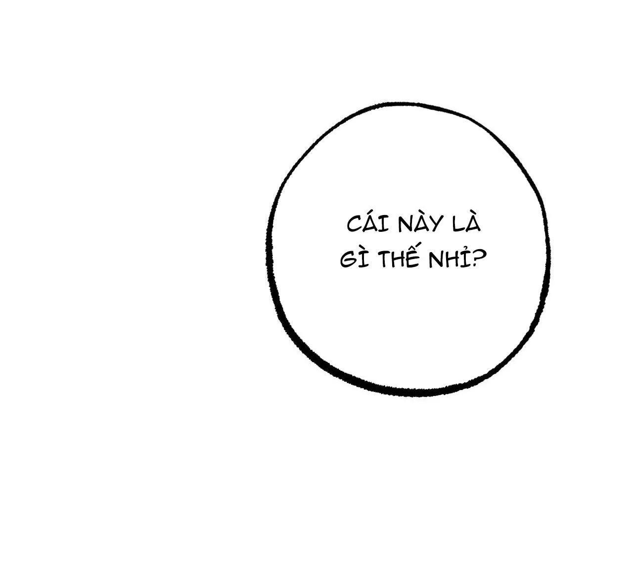 NHỮNG CHÚ THỎ CỦA HAPYPY Chapter 12 Trang 7