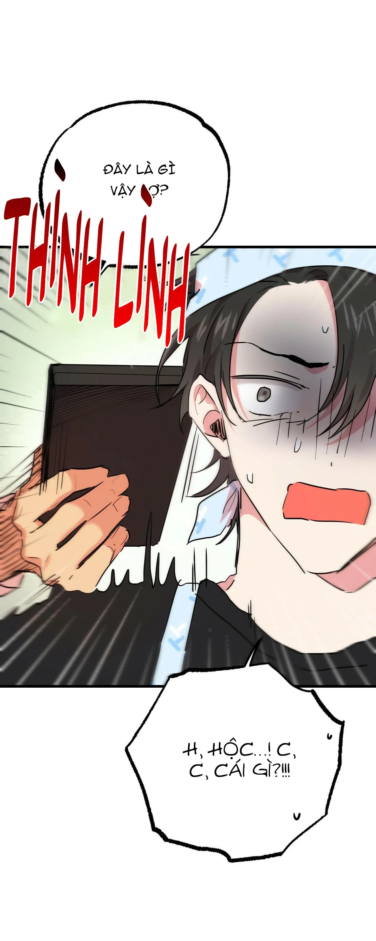 NHỮNG CHÚ THỎ CỦA HAPYPY Chapter 12 Trang 9